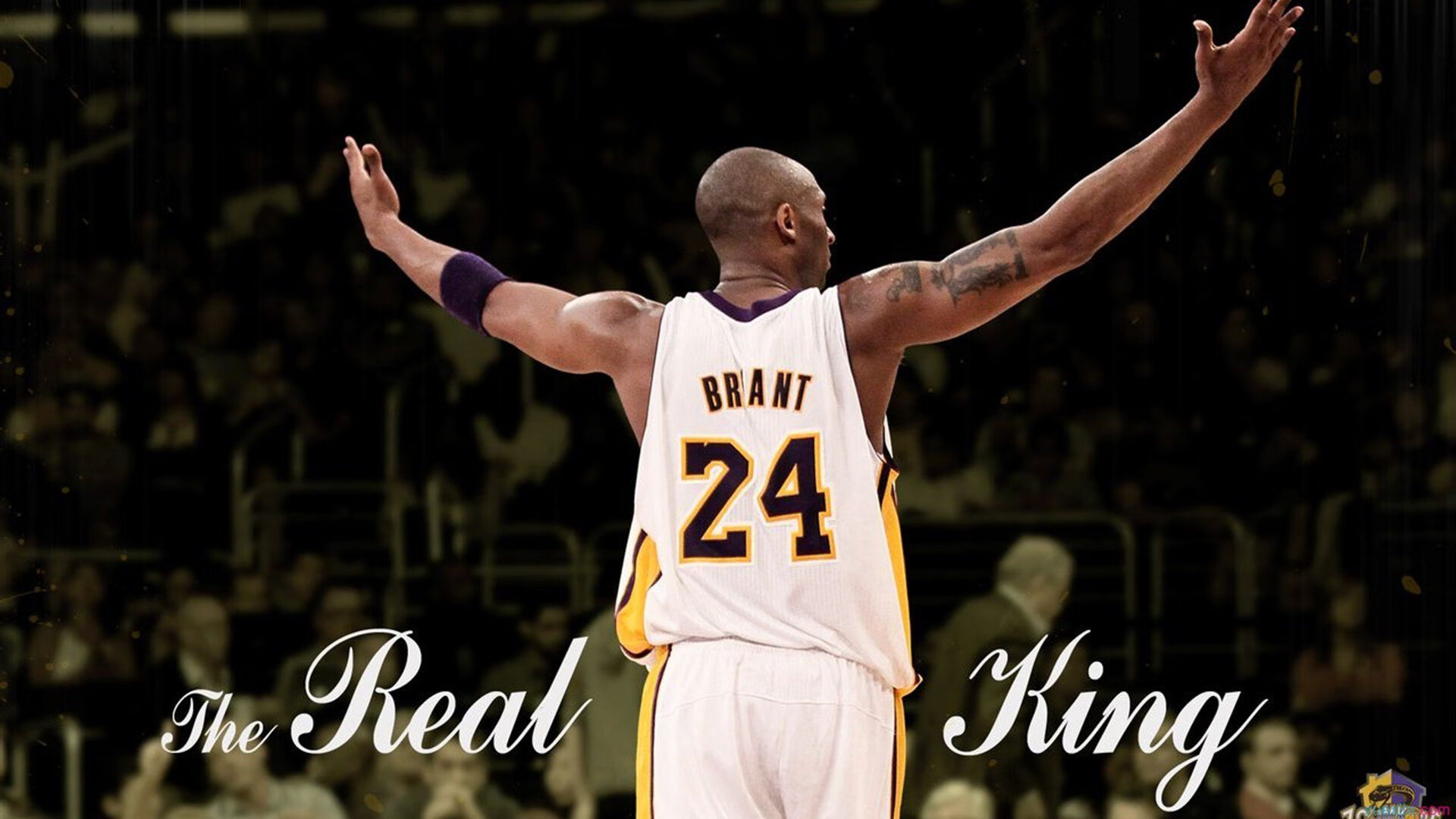 “战术大比拼：幕后策略的终极角逐”